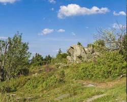 Naturpark Taunus